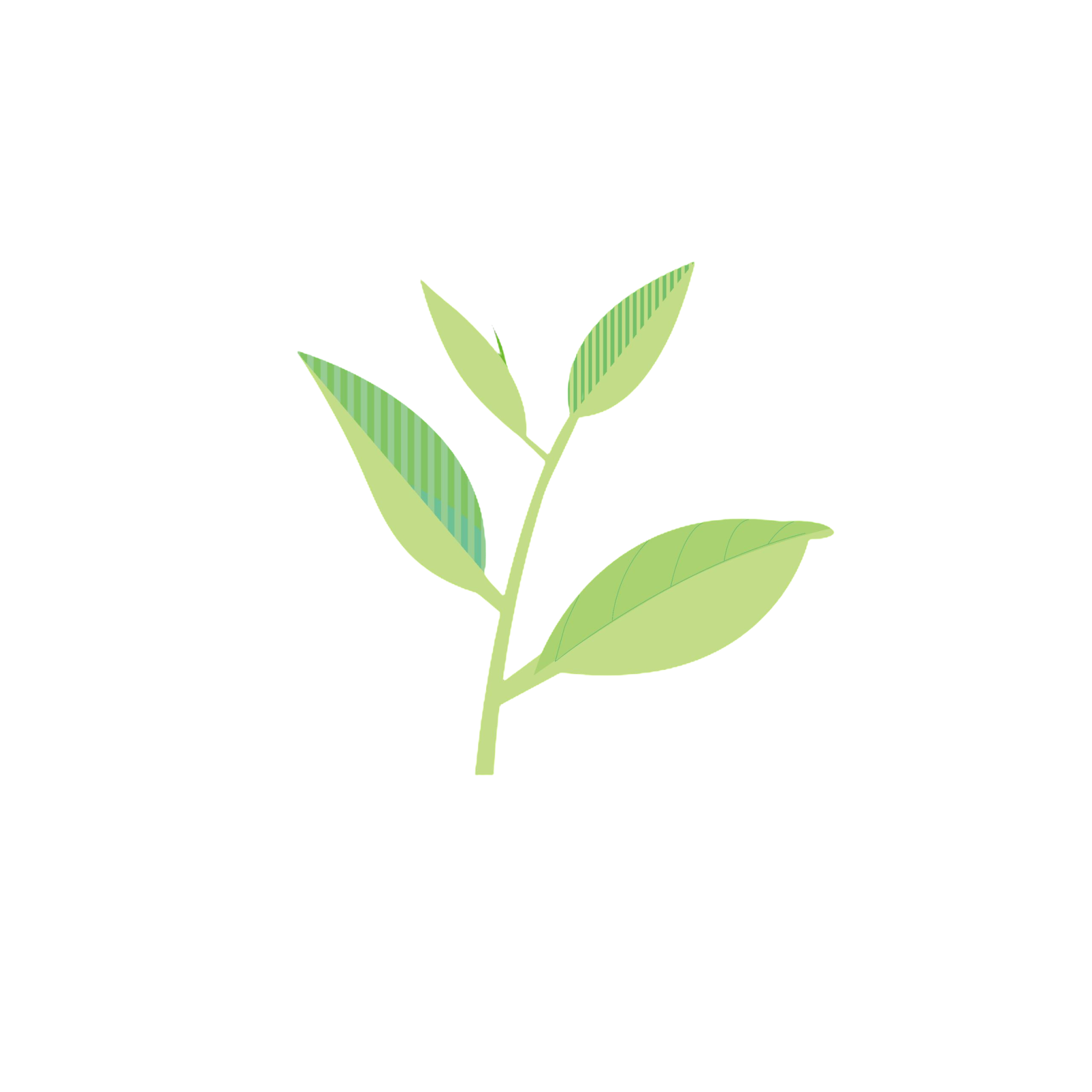 企業(yè)介紹